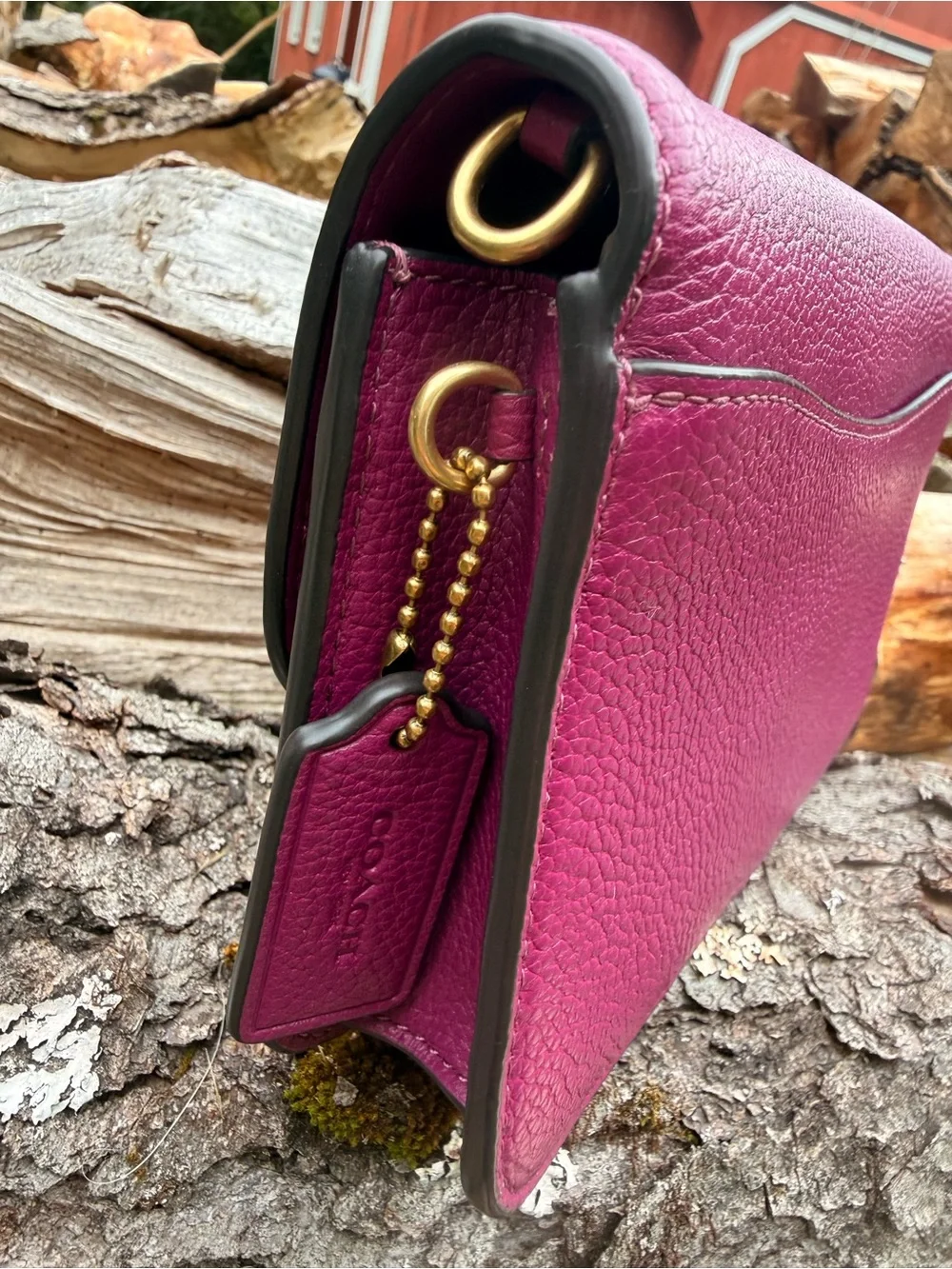 Coach Hayden Crossbody Clutch Bag C4815